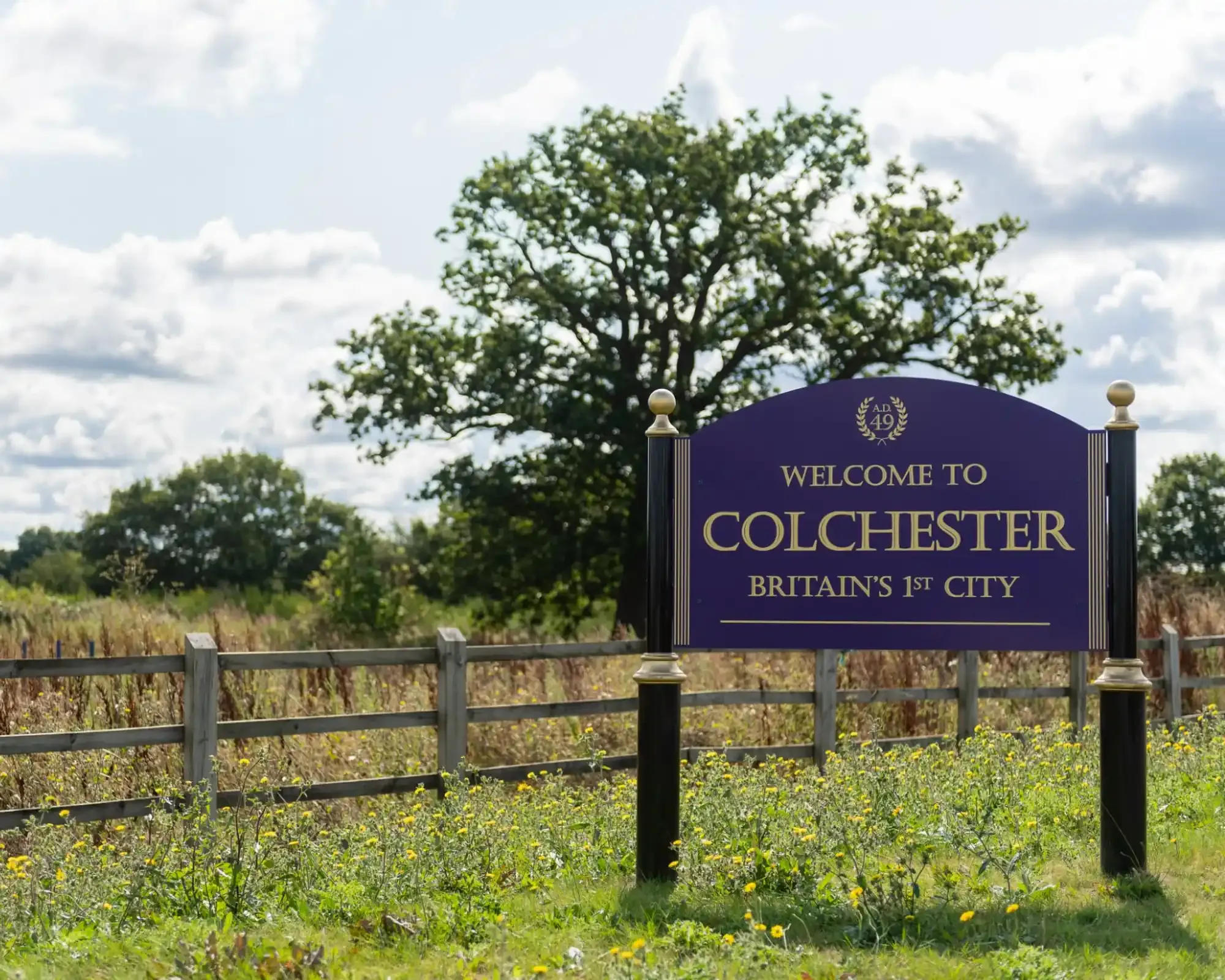 Purple and gold "Welcome to Colchester – Britain's 1st City" sign beside a wooden fence, with wildflowers and an oak tree behind it.