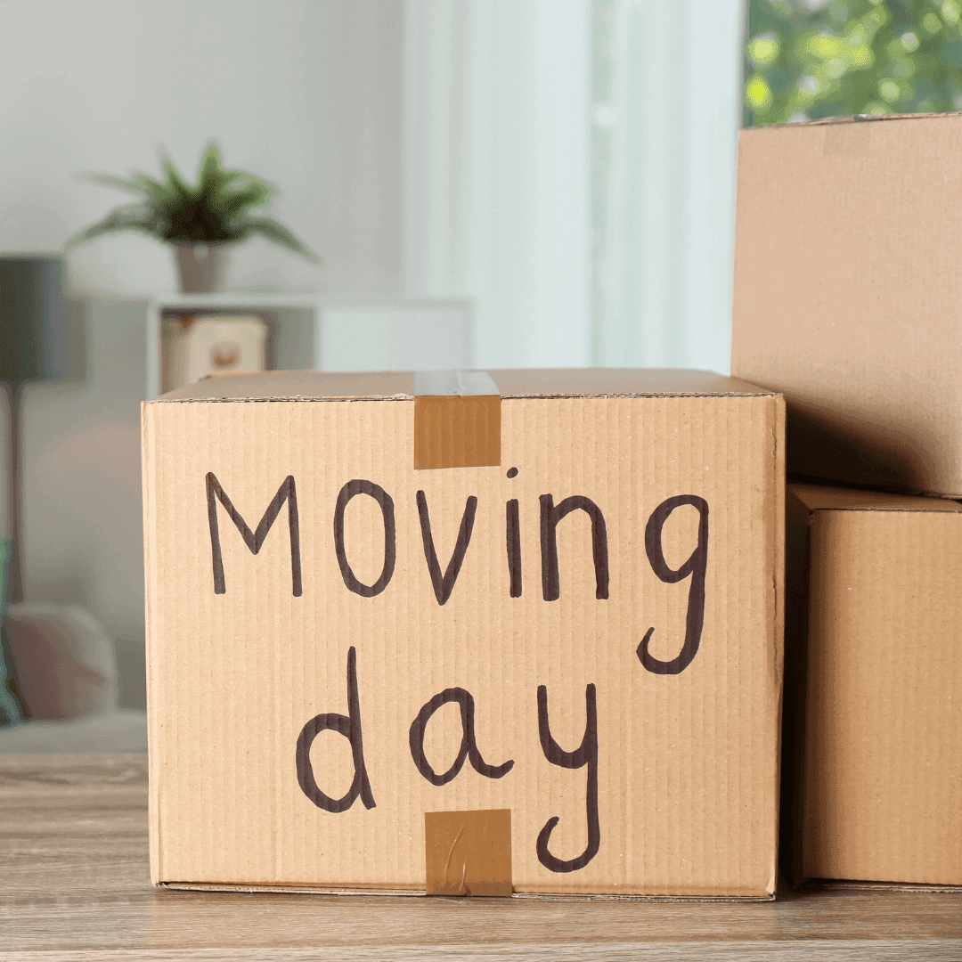 moving day box moving compared